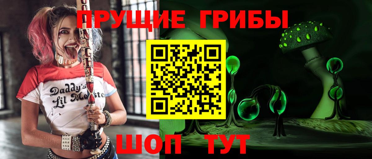 Псилоцибиновые грибы Psilocybe Елец