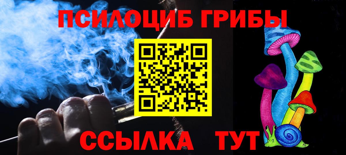 Галлюциногенные грибы GOLDEN TEACHER  даркнет сайт  Галлюциногенные грибы мицелий  Елец  Вход с VPN 